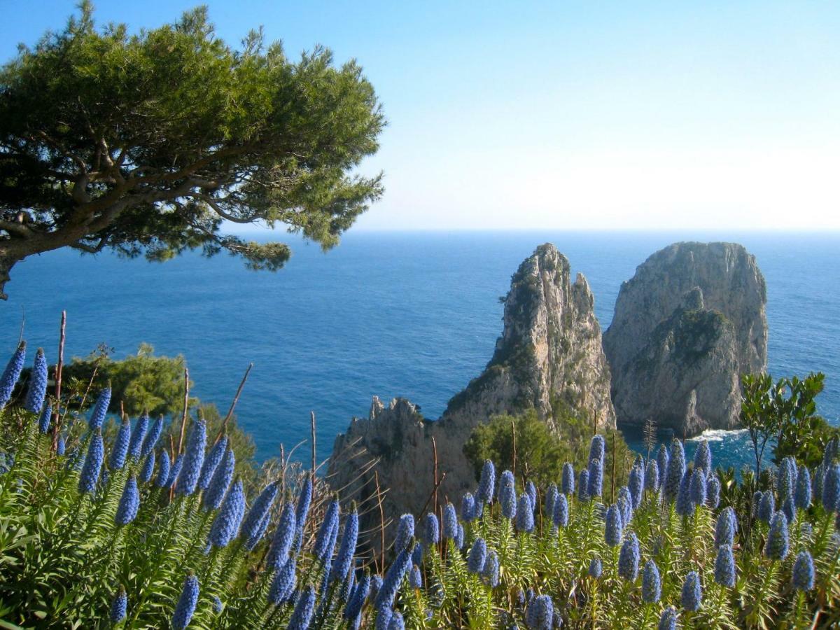 Casa Giovanna Capri Luaran gambar